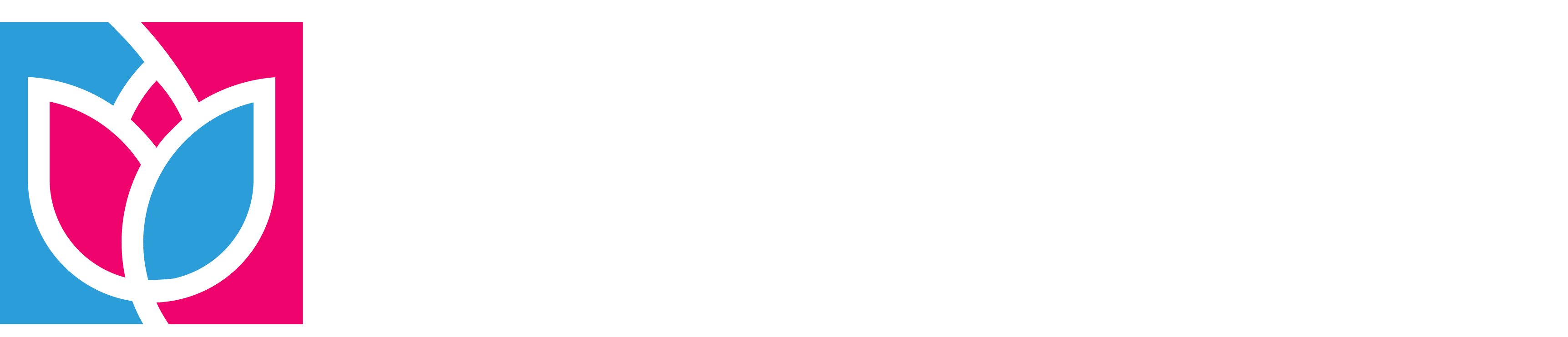 Цветы голландии